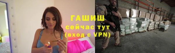 стафф Дмитриев