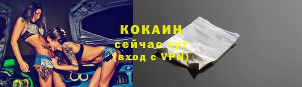 стафф Дмитриев