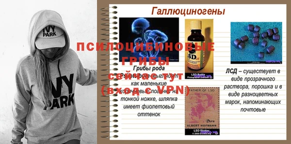 мдпв Дмитров