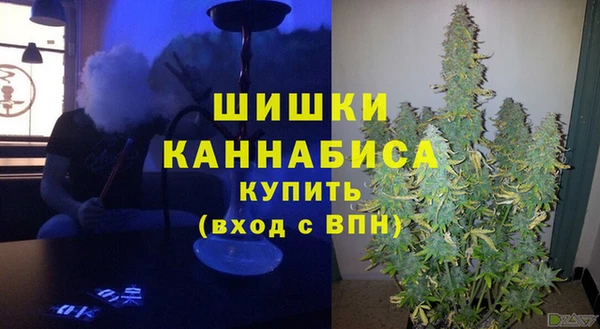 мдпв Дмитров