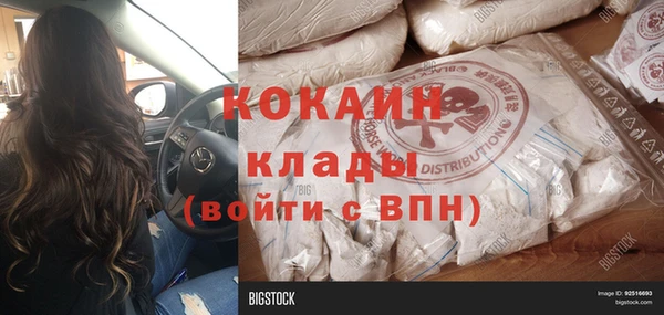 стафф Дмитриев