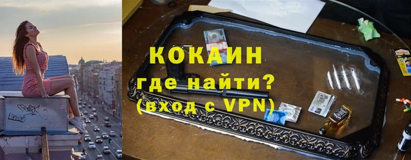 стафф Дмитриев