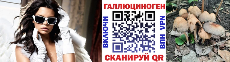 где купить   Ростов  Псилоцибиновые грибы Cubensis 